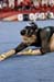12hNCST4D_06924_KatD