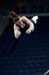 12iSEC1D_07675_LindseyC
