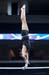 12iSEC2D_07710_KatD